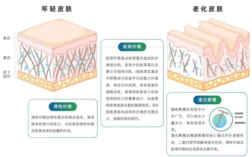 选对功效成分，和皱纹轻松Say No！