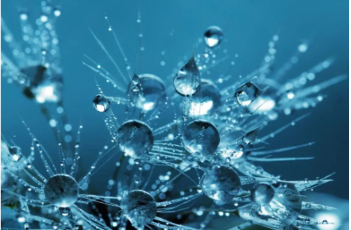 第三次生物技术革命,你准备好了吗? 第三次生物技术革命,你准备好了吗?