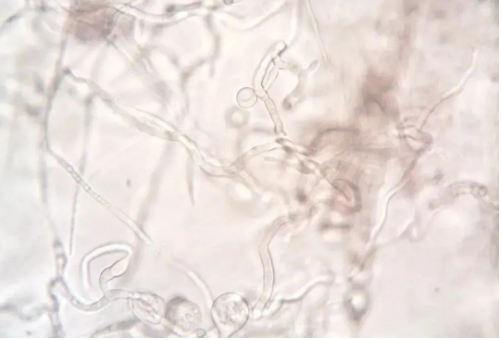 第三次生物技术革命,你准备好了吗? 第三次生物技术革命,你准备好了吗?