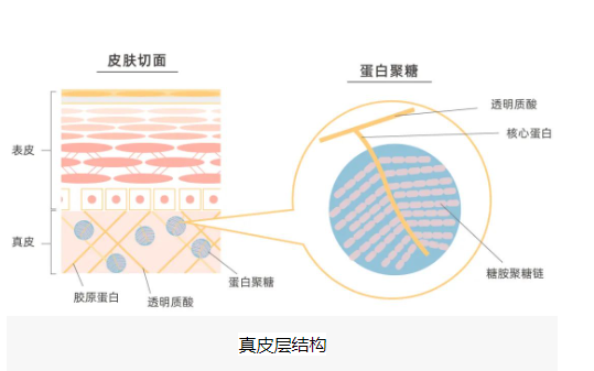 酶成品荣获三项玻色因国家发明专利
