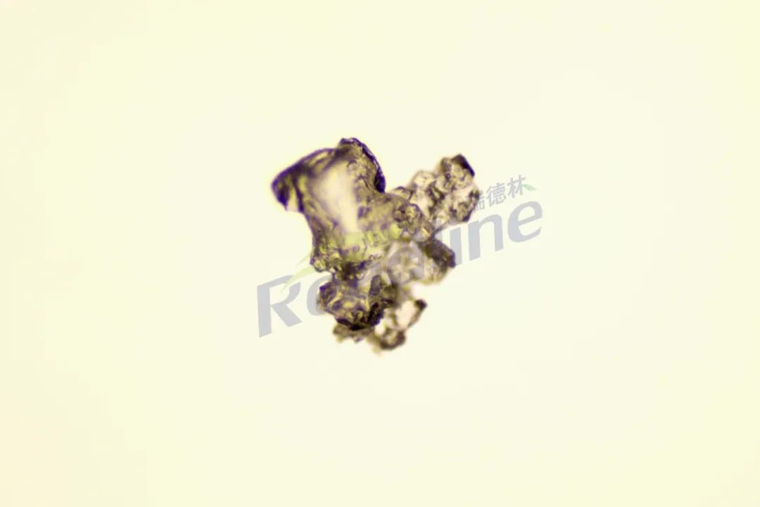 抗衰成分下一个风口——玻色因（下）