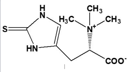 人间高质量抗氧化剂——麦角硫因 人间高质量抗氧化剂——麦角硫因