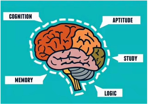 燕窝中的“秘密武器”——燕窝酸