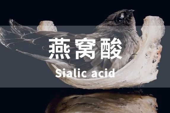燕窝中的“秘密武器”——燕窝酸