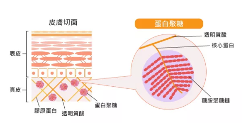 抗衰成分下一个风口——玻色因(上) 抗衰成分下一个风口——玻色因(上)