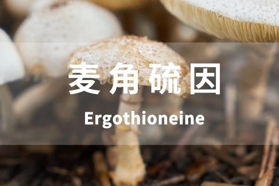 人间高质量抗氧化剂——麦角硫因