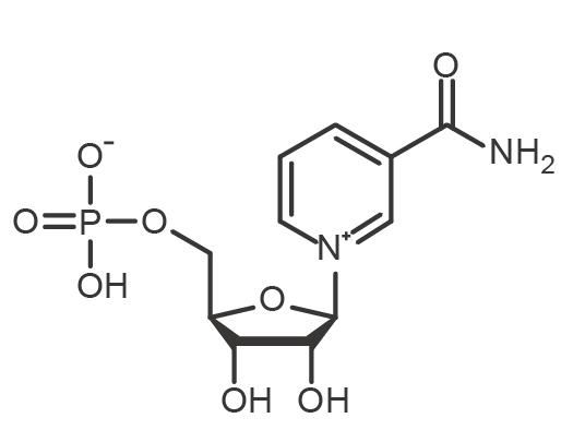 β-Nicotinamide Mononucleotide（NMN）