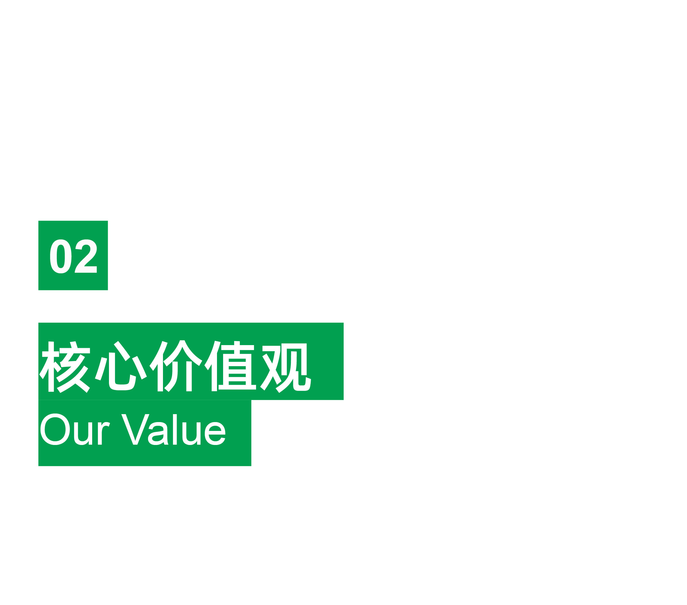 酶成品品牌视觉形象全面升级