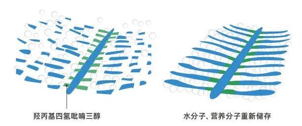 S构型-羟丙基四氢吡喃三醇