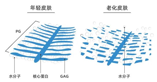 S构型-羟丙基四氢吡喃三醇
