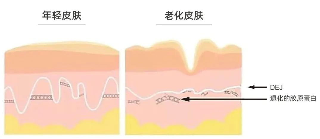 S构型-羟丙基四氢吡喃三醇