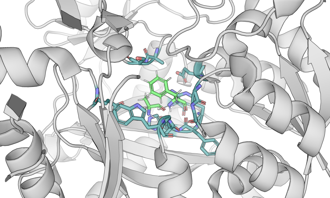 行业资讯 | 深度探讨合成生物学领域的“酶” 行业资讯 | 深度探讨合成生物学领域的“酶”