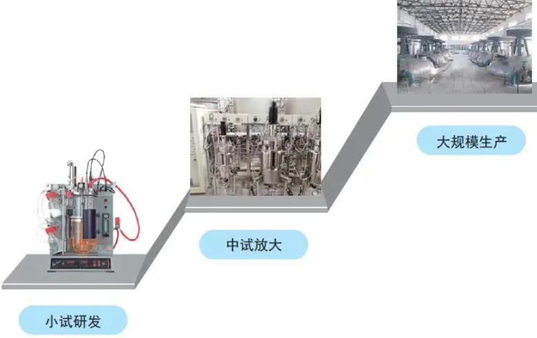 行业资讯 | 深度探讨合成生物学领域的“酶”