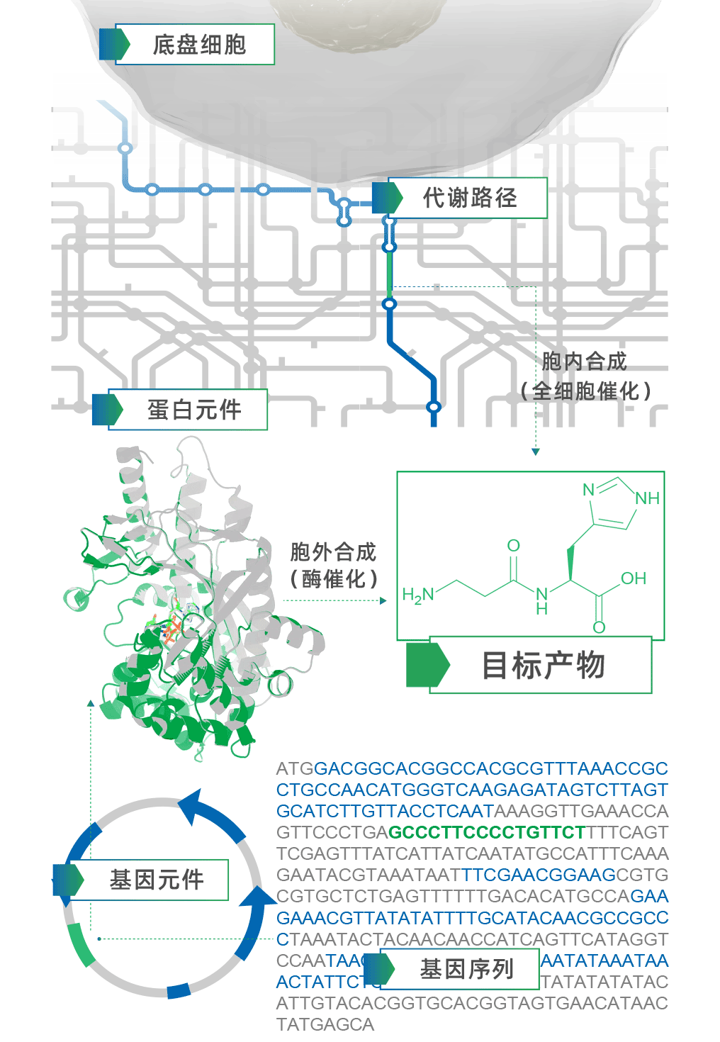 Garlic专栏 | 来自自然的机遇与挑战