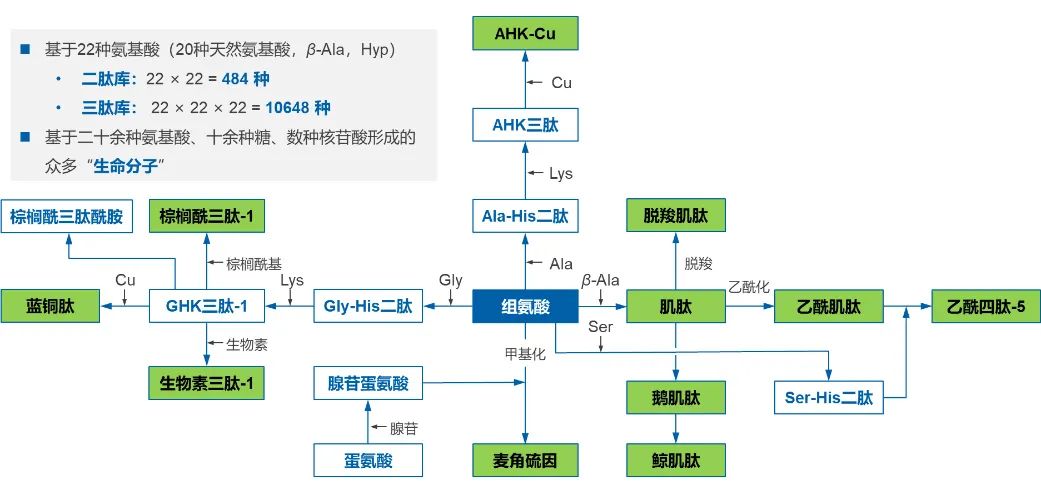 行业洞察|颜值产业变革中的科技力量