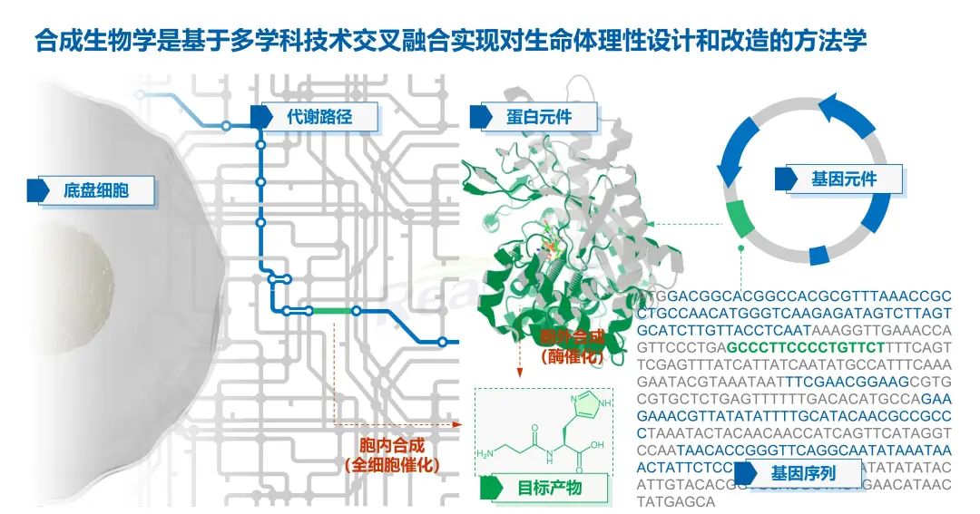 绿色科技 成人之美 绿色科技 成人之美