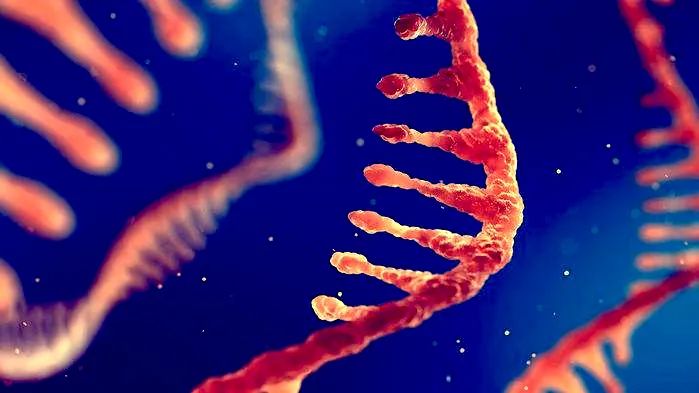 前沿资讯丨生命的起源:“RNA—多肽”的世界 前沿资讯丨生命的起源:“RNA—多肽”的世界