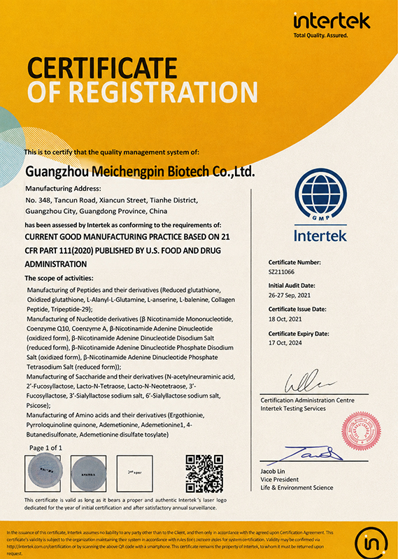 cGMP 深圳