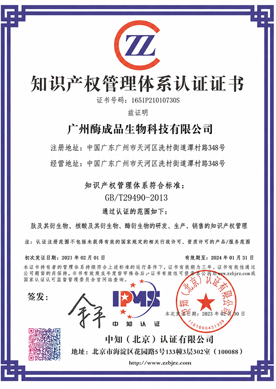 知识产权管理体系