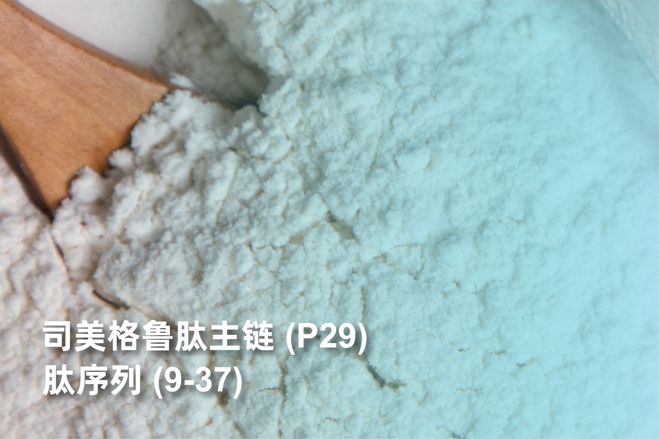 司美格鲁肽主链（P29）肽序列（9-37）