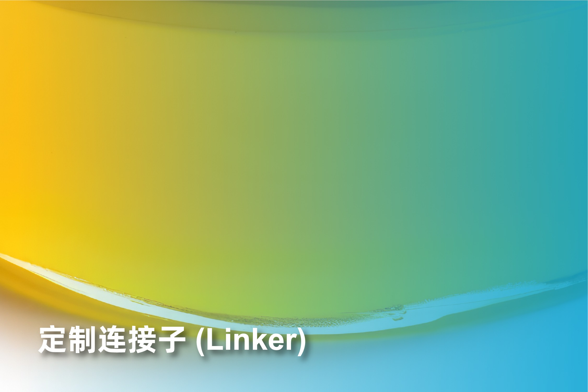 定制链接子