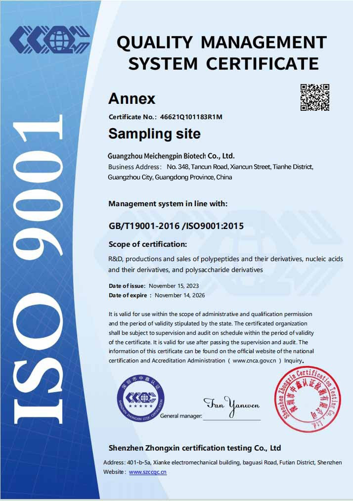 ISO 9001 甘肃
