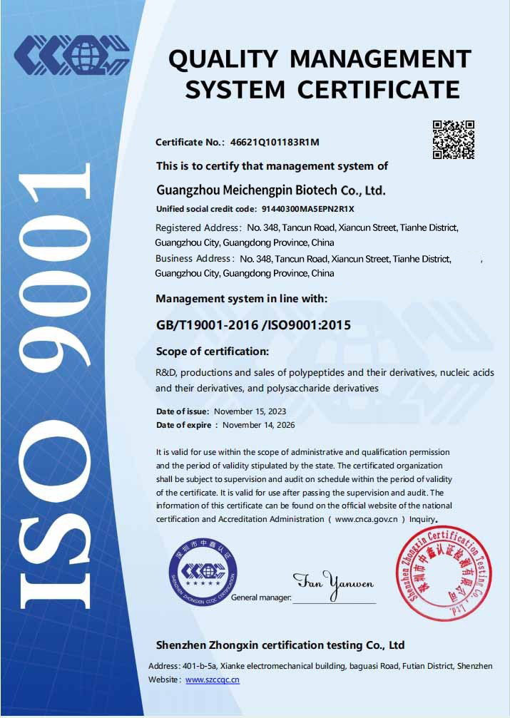 ISO 9001-深圳