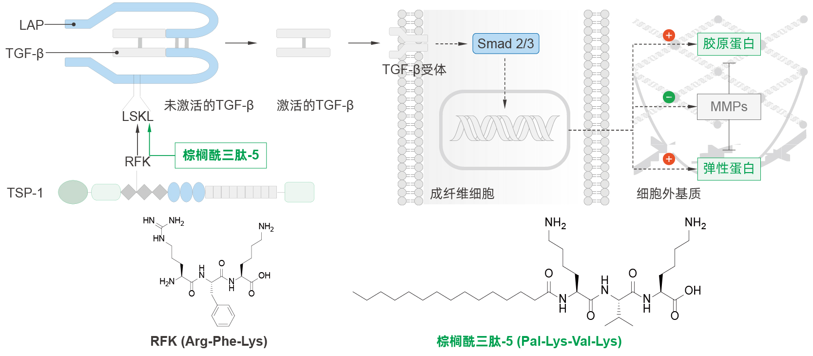 棕榈酰三肽-5 棕榈酰三肽-5