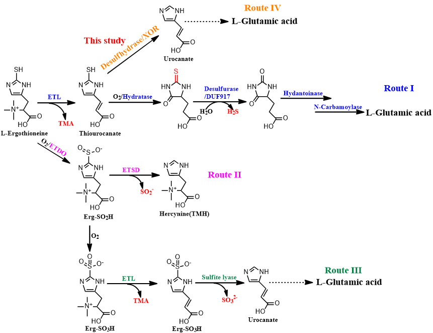 JACS丨酶成品合作研究成果在顶级学术期刊发表 JACS丨酶成品合作研究成果在顶级学术期刊发表