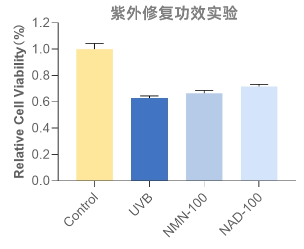 NAD；Nicotinamide adenine dinucleotide