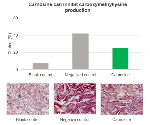 Carnosine Carnosine