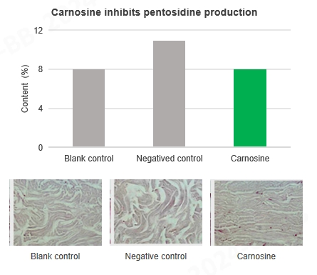 Carnosine Carnosine