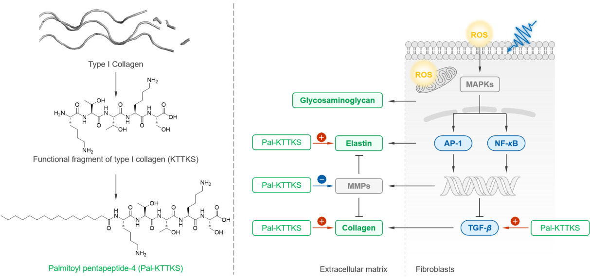Palmitoyl Pentapeptide-4 Palmitoyl Pentapeptide-4