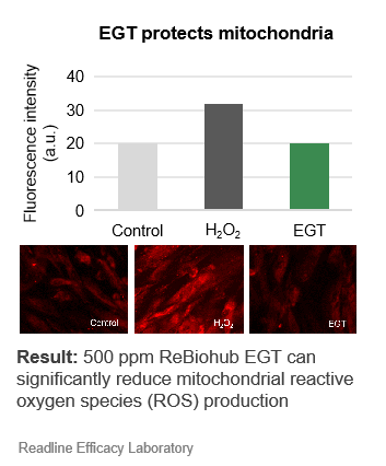 ReBiohub® EGT ReBiohub® EGT