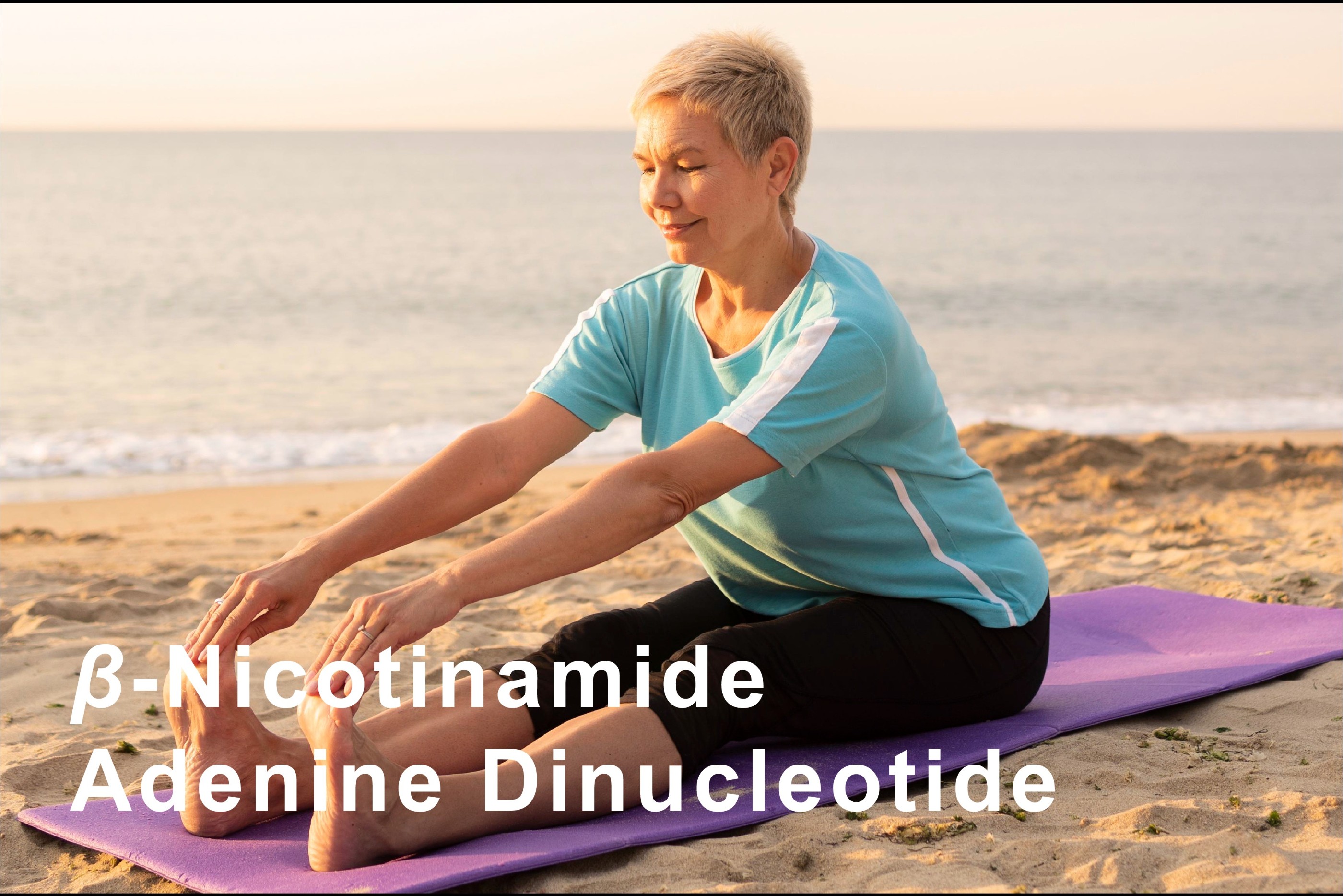 β-Nicotinamide Adenine Dinucleotide