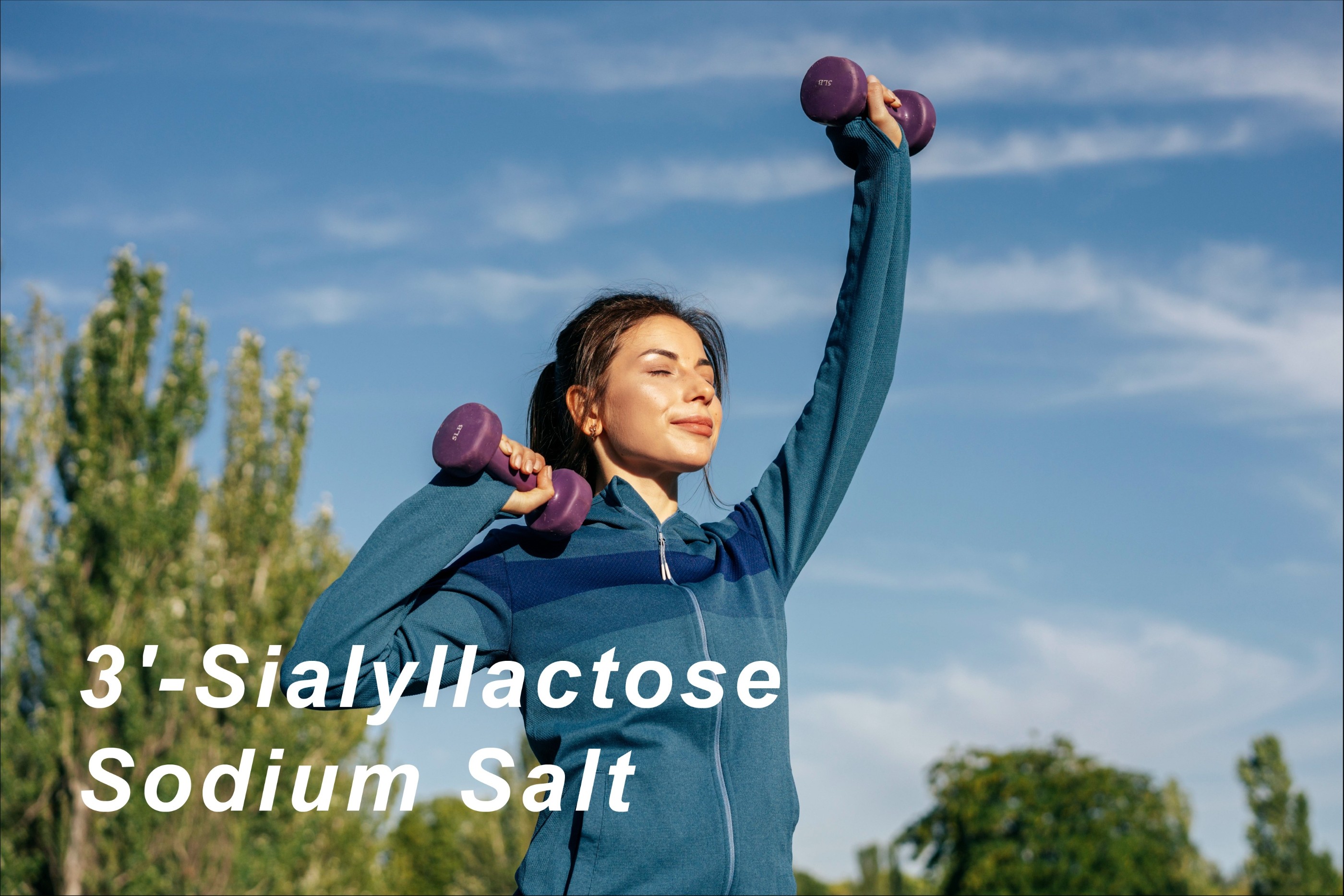 3'-Sialyllactose Sodium Salt