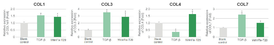 WrinFix-T29 WrinFix-T29